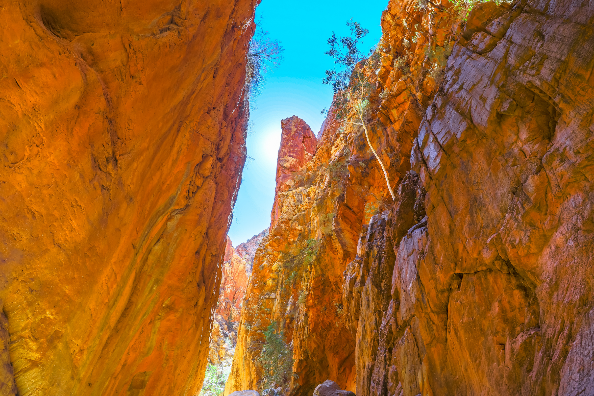 arnhem land, northern territory (3).webp